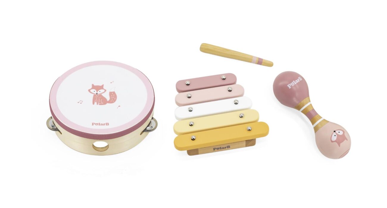 Mūzikas instrumentu komplekts Lapsa, 277598 Polar B