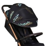 Pastaigu rati Cloe Golden Moments, Lionelo