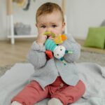 Attīstošā rotaļlieta Mini Butterfly, 275388 Fehn