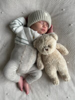 moonie bear