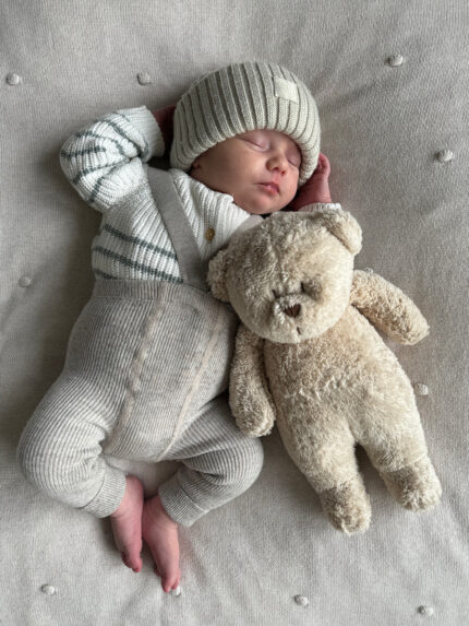 moonie bear