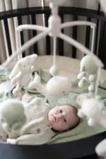 Muzikālais karuselis Dzīvnieki, Laurel green, Babys only 1012864
