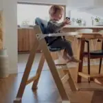 Barošanas krēsls Lionelo Floris